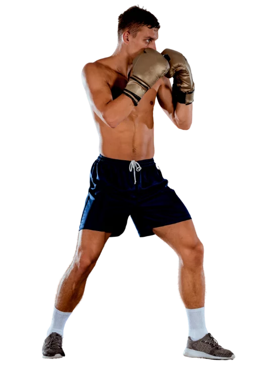 boxe anglaise warrior family (1)